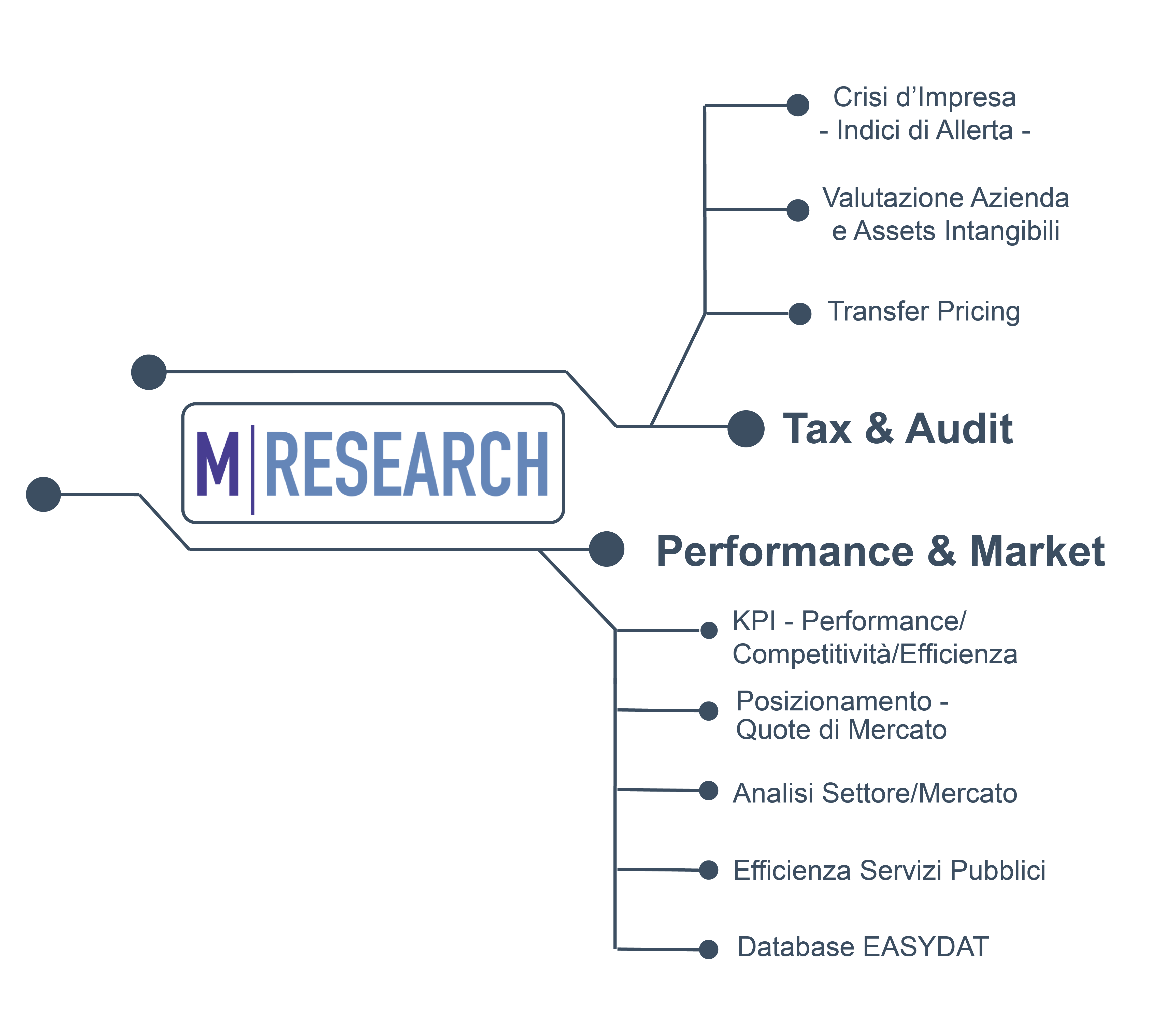 Vertical figure and diagram of MResearch data analysis services